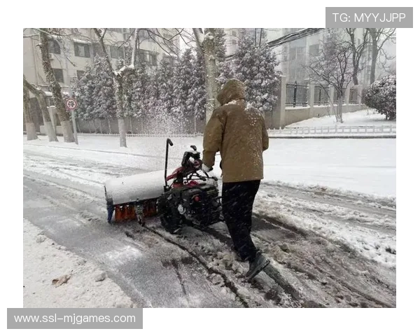 汉堡威悉球场周边除冰完成，暴雪中保障比赛进行